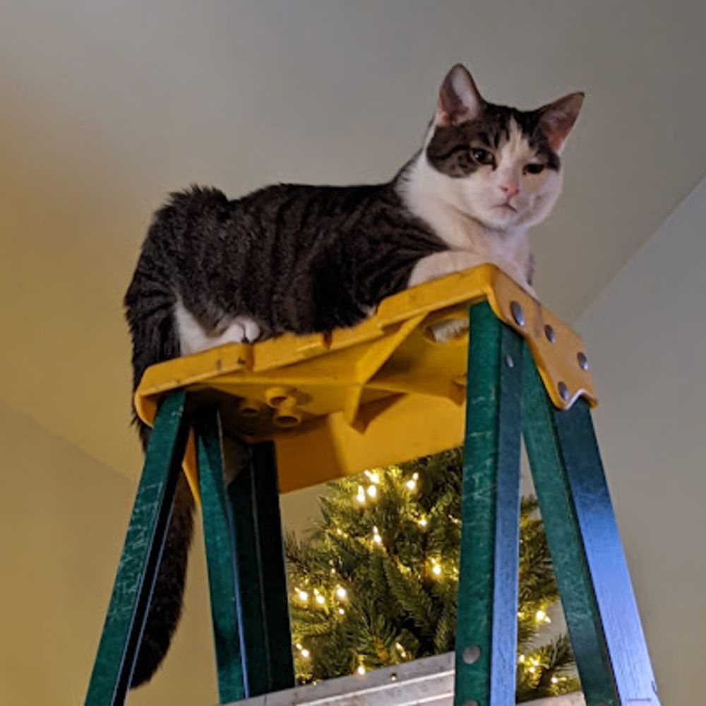 Meet your Posher, Meredith